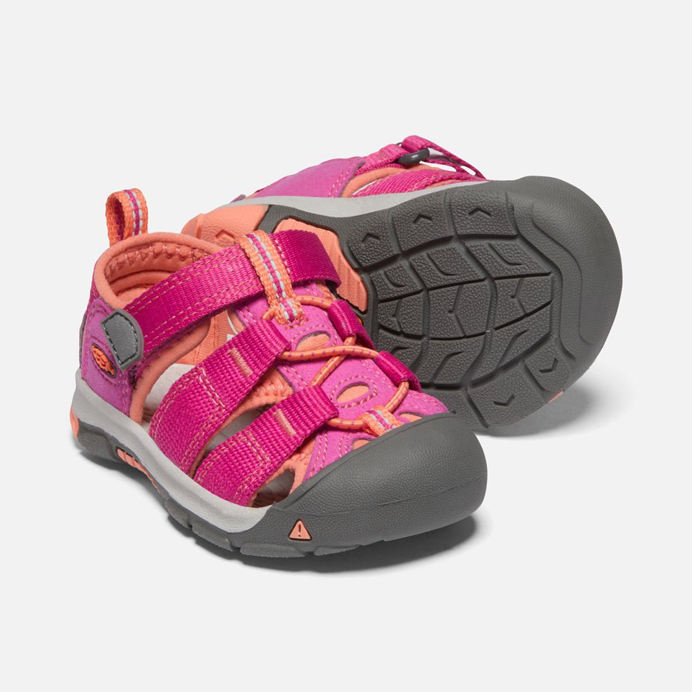 Sandalias Keen Mexico Rosas/Coral - Niños Newport H2 - QI4281367